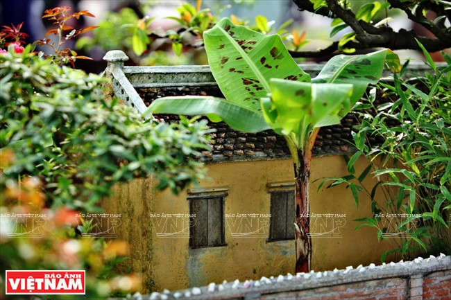 Árboles de areca y de plátano son plantados delante y atrás de cada vivienda en el norte del país (Fuente: VNA)