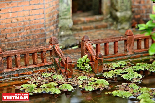 Imagen familiar de un estanque delante de la casa (Fuente: VNA)