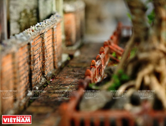 Camino frente a la vivienda (Fuente: VNA)