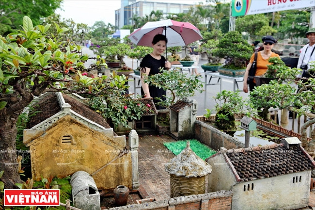 "Tierra natal de mi padre", de Nguyen Ngoc Quy, atrajo la atención de los aficionados al bonsái en Hanoi en el primer Festival de Mascotas y Plantas Ornamentales de la capital 2016 (Fuente: VNA) Según Quy, el maestro dedicó más de tres años a completar esta casa en miniatura, la cual le hace recordar a la tierra natal de su padre, un pueblo en el norte del país. El maestro recolectó diligentemente objetos decorativos y creó cada teja y ladrillo en miniatura. Después de adquirir el trabajo, Quy añadió entonces meticulosamente a la obra plantas y agua para crear un estanque en miniatura, lo cual ayuda que el trabajo luzca más llamativo. Debido a la rápida urbanización, las casas antiguas de estilo arquitectónico tradicional, con jardín, estanque y paredes de paja de arroz, están siendo reemplazadas por edificios modernos y altos. Los recuerdos de un pueblo rural tradicional han ido desapareciendo poco a poco en la mente de muchas personas. La obra "Tierra natal de mi padre" revive las memorias de un típico pueblo rural del norte y despierta en los visitantes las bellas imágenes del pasado./.
