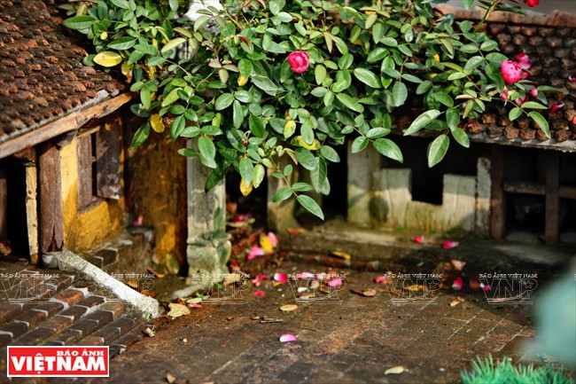 La casa tiene un patio grande con árboles viejos (Fuente: VNA)