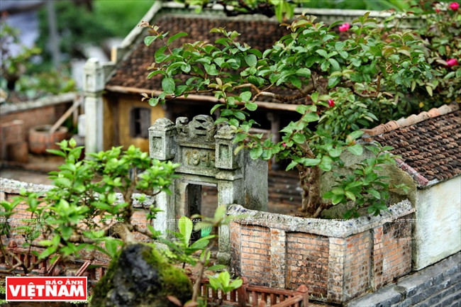 "Tierra natal de mi padre" recuerda a la gente un campo del nort(Fuente: VNA)