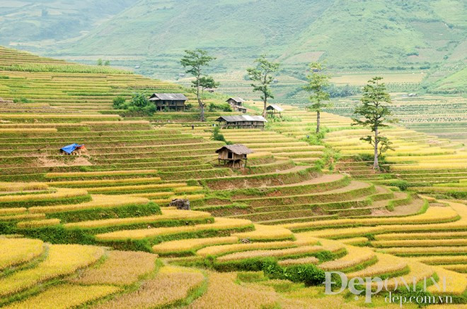 La Valle Khau Pha, un destino favorito de los turistas 