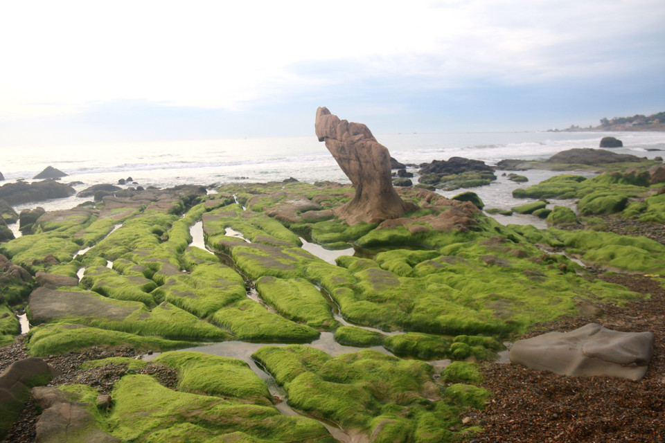 Al visitar este lugar, parece como si los turistas se perdieran en un espacio surrealista y mágico creado por las piedras, el musgo y el vasto mar (Fuente: VNA)