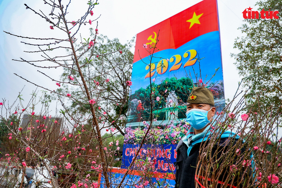 El punto de venta de plantas ornamentales en el jardín de Lac Long Quan está lleno de flores de melocotón. (Fuente: VNA)