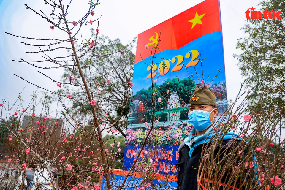El punto de venta de plantas ornamentales en el jardín de Lac Long Quan está lleno de flores de melocotón. (Fuente: VNA)