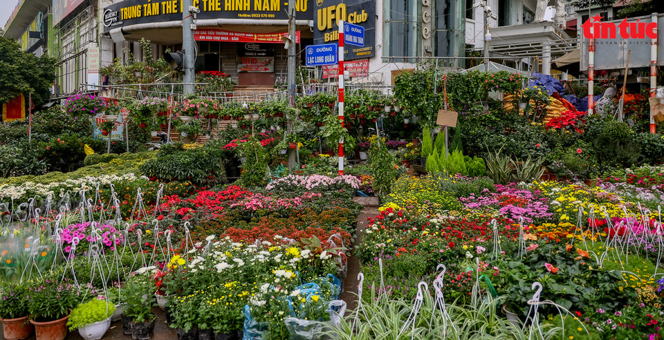 El mercado de las flores en la calle Hoang Hoa Tham es igualmente bullicioso. (Fuente: VNA)