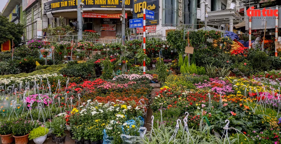 El mercado de las flores en la calle Hoang Hoa Tham es igualmente bullicioso. (Fuente: VNA)