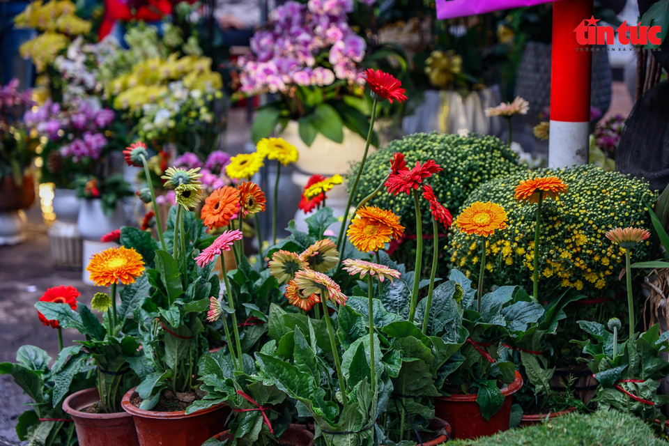 El mercado de flores de Hoang Hoa Tham, también conocido como la calle de los bonsáis, se extiende desde la ladera del mercado de Buoi hasta la calle Hoang Hoa Tham. (Fuente: VNA)