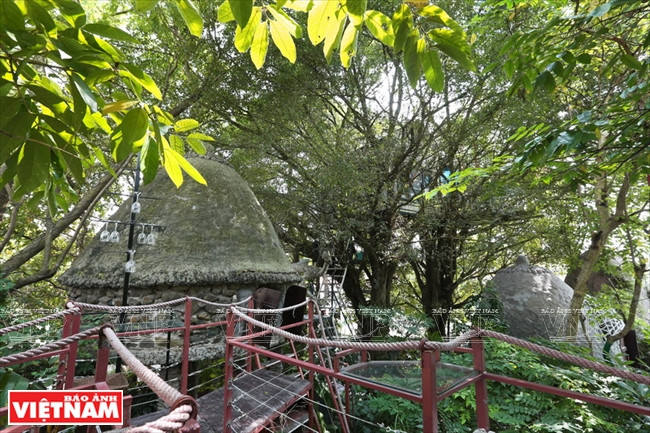 Situadas en un espacio de más de 2 000 m2, las casas en árboles poseen una arquitectura única (Fuente: Revista Vietnam)