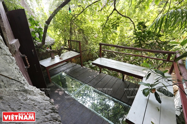 Cada balcón tiene suelo de vidrio, lo cual permite a los visitantes admirar todo el espacio verde (Fuente: VNA)