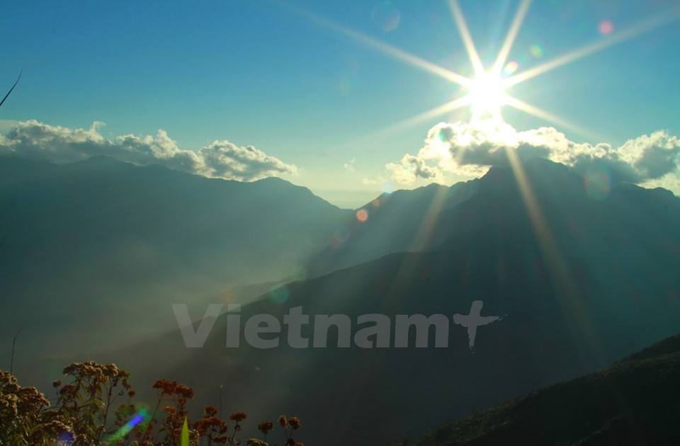 Aquí se encuentran en abundancia los arbustos. (Fuente: VNA)