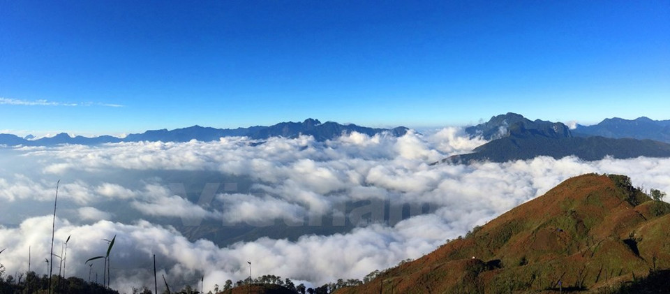 El majestuoso paisaje de Lao Than emergente por encima del mar de nubes. (Fuente: VNA)