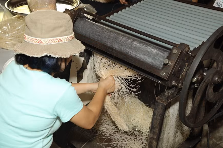Las hojas secadas se introducen en una máquina para cortarlas en fideos. (Fuente: Vietnam+)