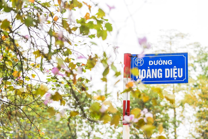 El sabor y la belleza de las flores de la región montañosa del noroeste en las calles de Hanoi (Foto: Vietnamplus)