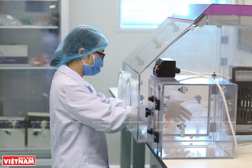 Análisis de muestra en el Centro. 