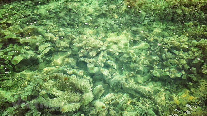 El sistema acuático único (Foto: Vietnamplus)