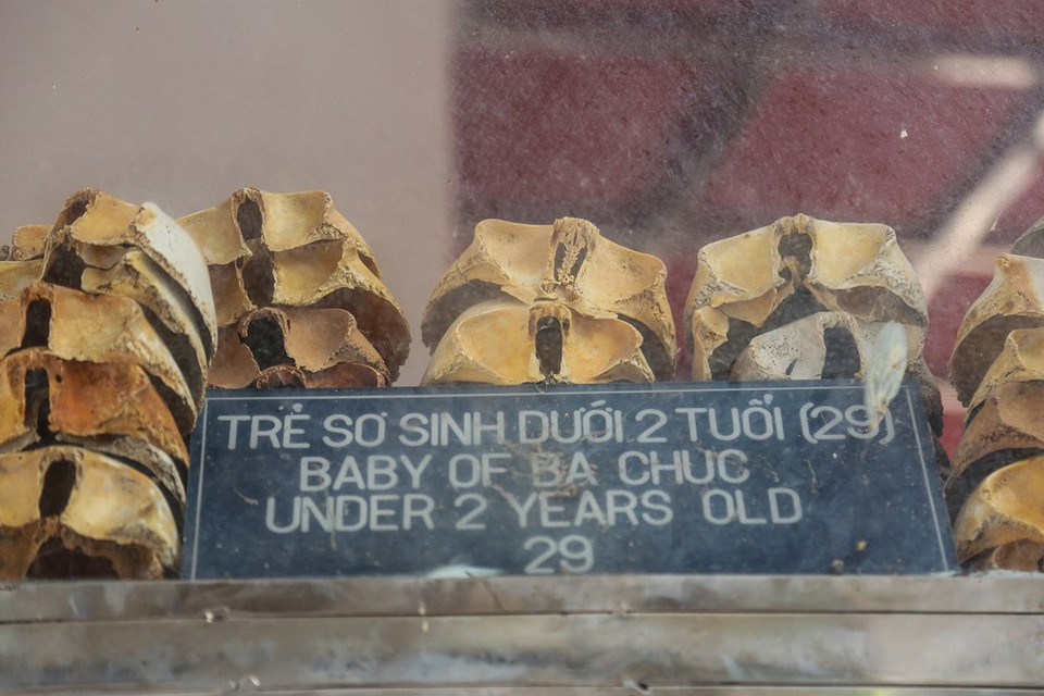 Los restos de las víctimas se dividen según grupos etarios. (Fuente: VietnamPlus)