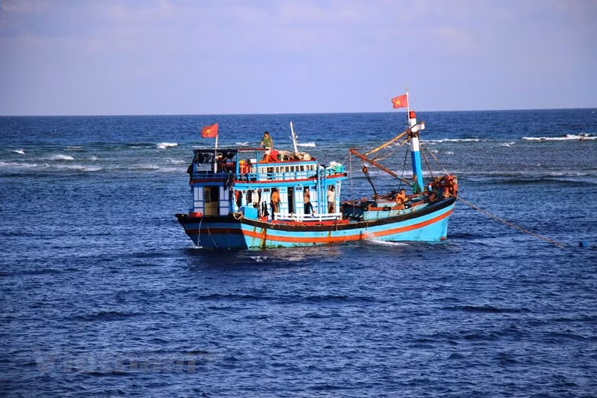 Los soldados también ayudan a los pescadores a entender y respetar las leyes nacionales e internacionales sobre la pesca en el mar. (Fuente: VietnamPlus)