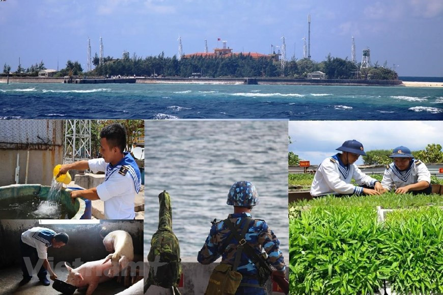 Truong Sa ya no son islas rocosas que sufren el clima inclemente en medio del mar. Ahora se encuentra el verde en todos los rincones del archipiélago. (Fuente: VietnamPlus) 
