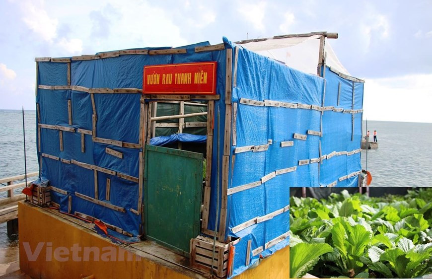 El verde de vida, energía y esperanza cubre las islas de Truong Sa. (Fuente: VietnamPlus)(Fuente: VietnamPlus)