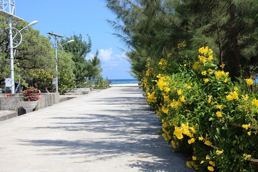 El verde de los árboles y múltiples colores de las flores embellecen la isla Sinh Ton Dong. (Fuente: VietnamPlus) 