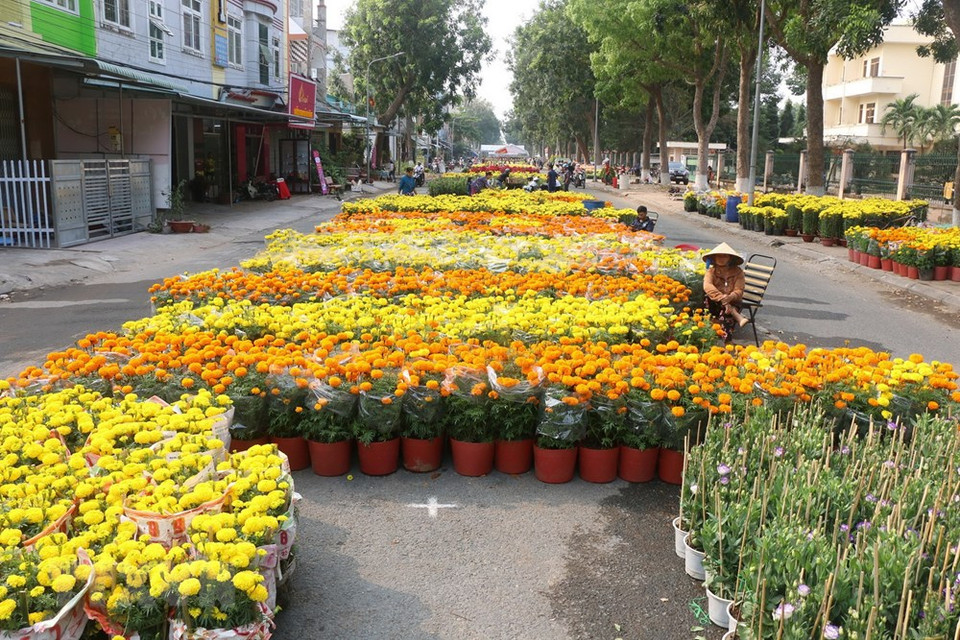 El distrito Tan Quy Dong y la comuna Tan Khanh Dong de la ciudad sureña de Sa Dec cuentan con más de dos mil floricultores. (Fuente: VNA)