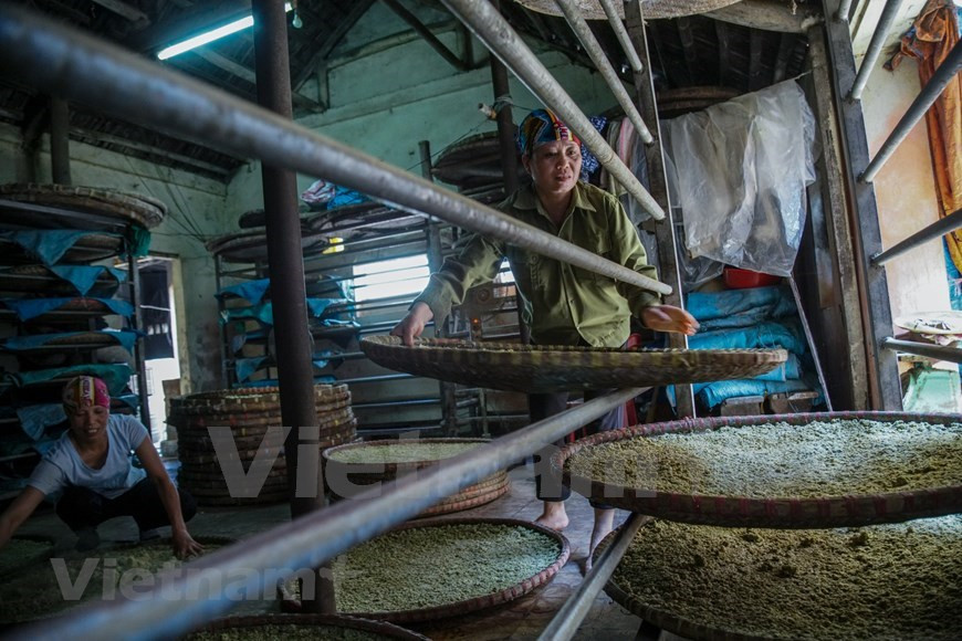 Se tuestan a fuego lento las semillas de soja con arena hasta que se doren y emiten un olor dulce. Después, las sumergen en agua por otra semana (Foto: VNA)