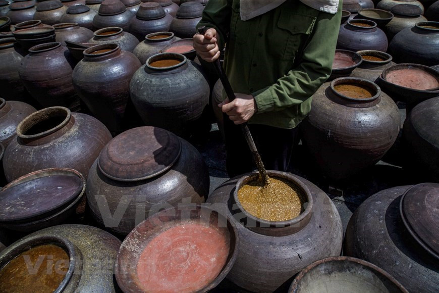 Se retiran las hojas para que los hongos crezcan por un día más (Foto: VNA)