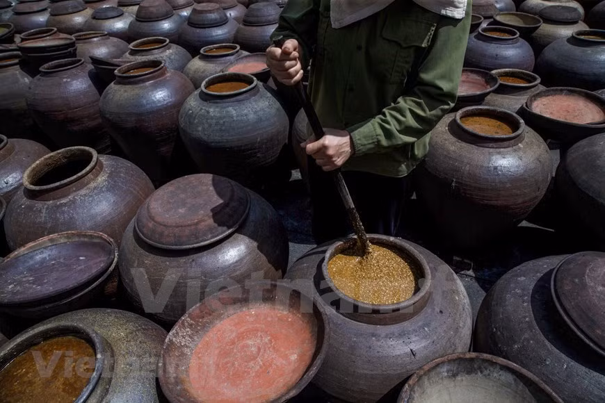Se retiran las hojas para que los hongos crezcan por un día más (Foto: VNA)