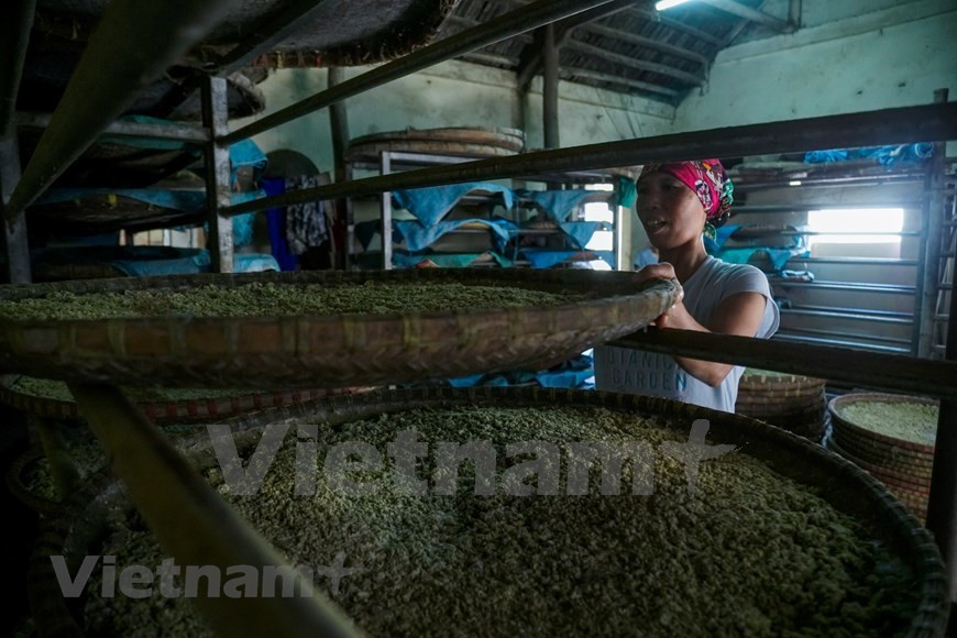 Esta salsa cuenta con las semillas de soja como el ingrediente principal (Foto: VNA)