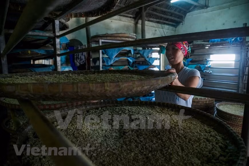 Esta salsa cuenta con las semillas de soja como el ingrediente principal (Foto: VNA)