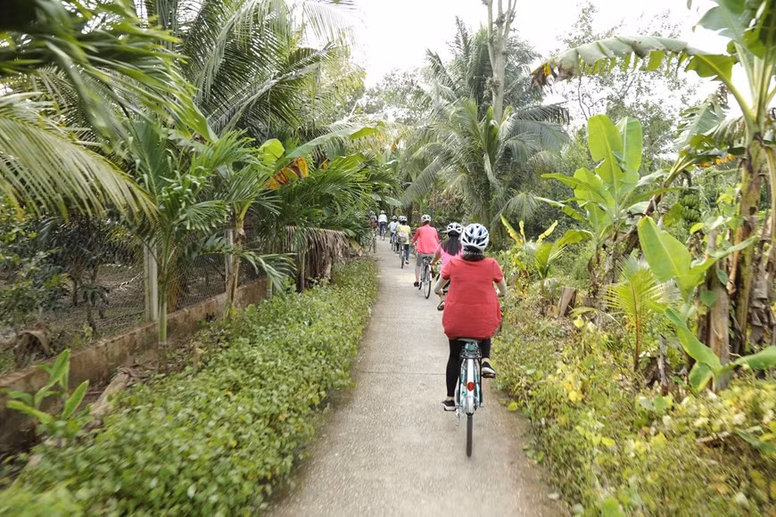 Románticas sendas bajo el follaje de los árboles en Ba Lang. (Fuente: Vietnam+)