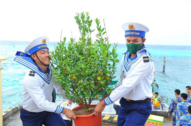 Los potes de kumquats con sabor a primavera llegan a los oficiales y soldados que custodian el mar y las islas (Fuente: VNA)