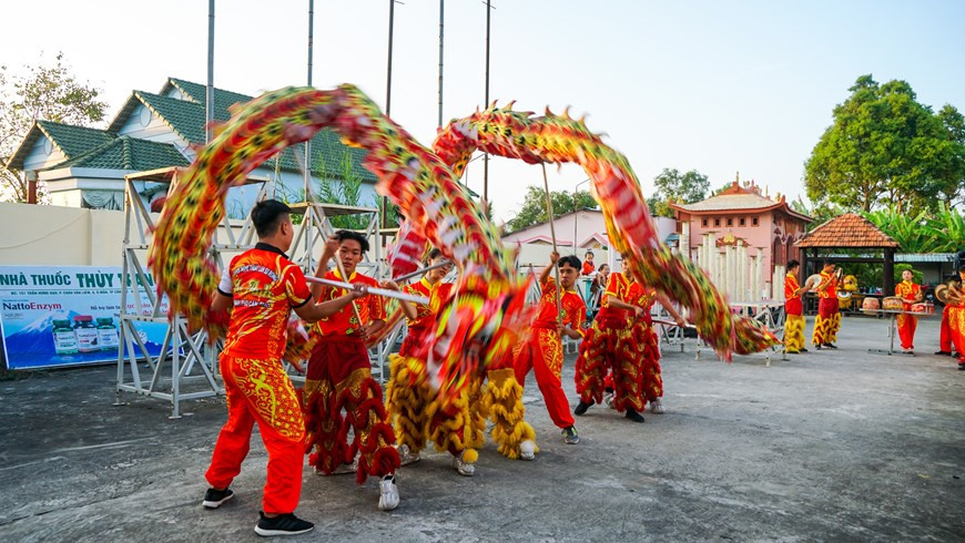 Los bailes de león exigen agilidad y poder para sobresalir en el deporte tradicional. (Foto: VNA)