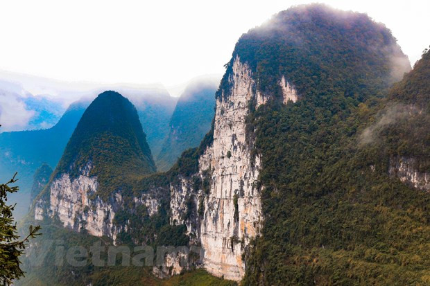 En este camino, los turistas pueden visitar el Acantilado de la muerte para hacer el check-in, sin embargo, tienen mucho cuidado porque también es bastante peligroso. Después de eso, continúan conduciendo hacia el valle de abajo para llegar a la montaña Co Tien. En un pequeño recodo, pueden ver el observatorio con vistas al paso Ma Pi Leng. En el observatorio, descubren el hermoso río Nho Que y el paso debajo. El acantilado es majestuoso, alto y peligroso entre las nubes. Contra el cielo azul, las nubes blancas con el paso Ma Pi Leng parecen muy empinadas, el verde río Nho Que serpentea y divide las montañas. (Fuente: VietnamPlus) 