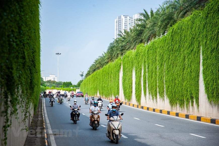 Por su belleza pura, y al mismo tiempo el árbol es fácil de cuidar, puedes decorar muchos espacios como restaurantes y obras civiles, entre otros. Por lo que encontrar variedades de Vernonia elliptica también es bastante fácil, hay muchos lugares que venden este tipo de planta. Es fácil de comprar en las tiendas locales de plántulas. Casi cualquier tienda puede suministrarle esta planta. Además, puedes comprar online en plataformas de comercio electrónico. Actualmente, es bastante común comprar árboles a través de sitios web o aplicaciones. El precio del árbol depende de la localidad, así como del tamaño de la plántula. El precio de las pequeñas plantas es de 50 mil dongs. (Foto: Vietnamplus)