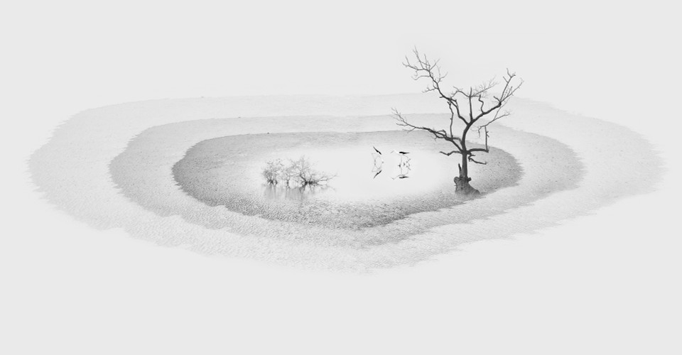 Medalla de oro DYPA: El mar blanco – Dang Quang Vinh (VIETNAM)