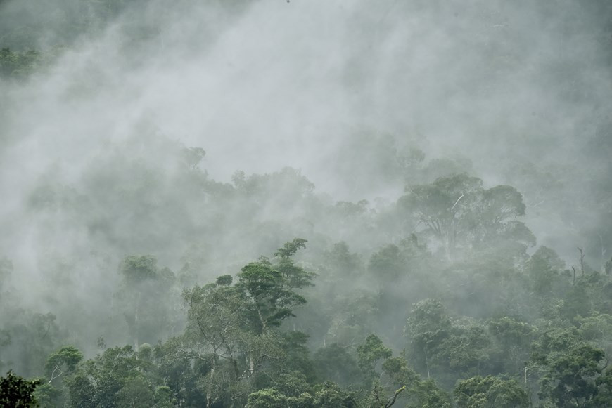 Una vista del Parque Nacional Kon Ka Kinh, un área central de la Reserva Mundial de Biosfera Kon Ha Nung. (Foto: VNA)