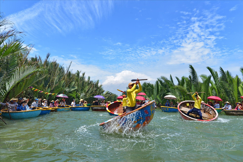 Atractivo recorrido para explorar el bosque de coco acuático de Cam Thanh, ciudad de Hoi An