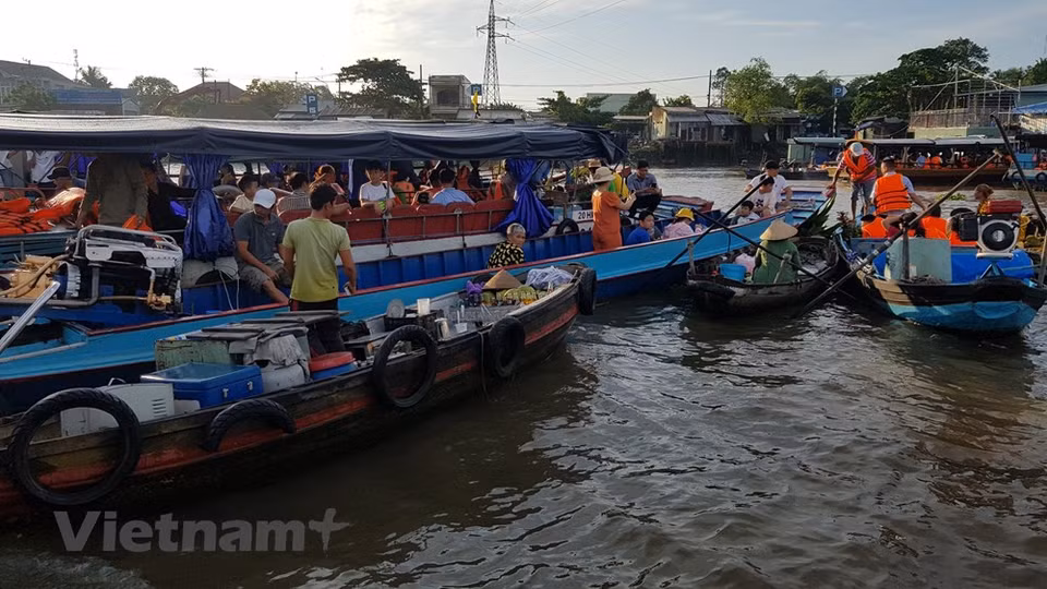El mercado de Cai Rang se localiza en la intersección entre la vía fluvial del río Can Tho y el canal Xang Xa No, por lo que resulta conveniente para el comercio con las provincias cercanas y la región del Delta del río Mekong. De acuerdo con los relatos históricos, el mercado flotante Cai Rang se estableció a principios del siglo XX. En los años 90, este destino fue trasladado a un kilómetro de su ubicación original en el puente de Cai Rang. Y se sitúa actualmente en el estuario del río Can Tho, a unos 600 metros del puente homónimo. Este mercado flotante fue destacado en 2016 por el Ministerio de Cultura, Deportes y Turismo de Vietnam como Patrimonio Cultural Intangible Nacional. (Foto: Vietnam+)