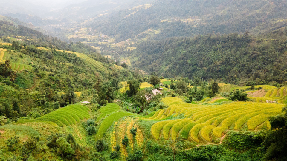 Las terrazas de arroz en la ladera de la montaña (Fuente: VNA)
