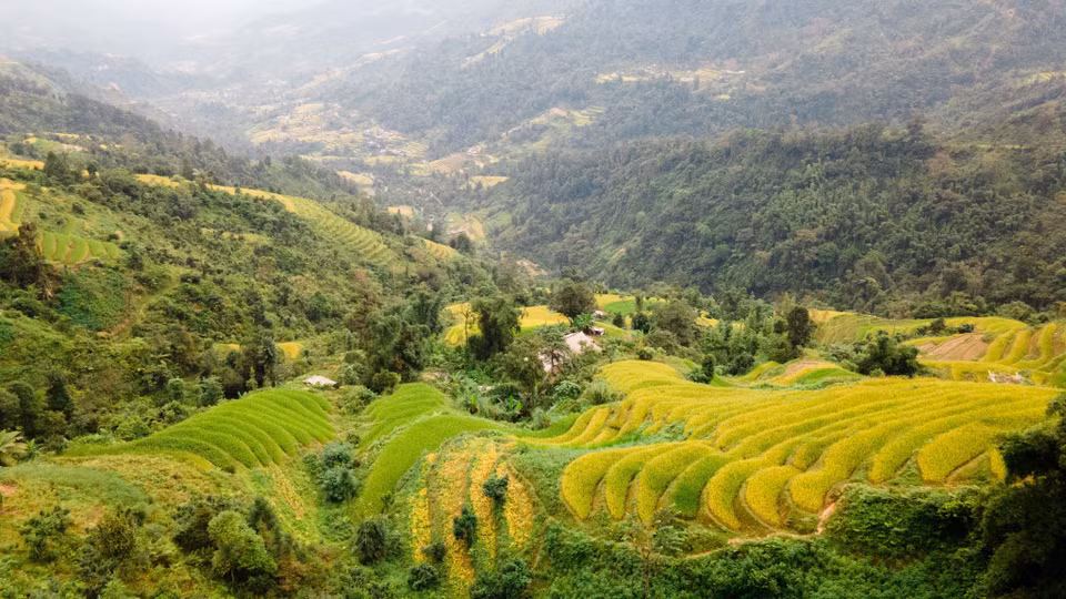 Las terrazas de arroz en la ladera de la montaña (Fuente: VNA)