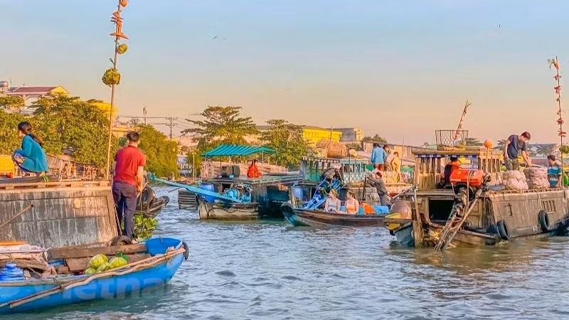 El mercado flotante de Cai Rang se encuentra en el río homónimo del distrito de Ninh Kieu, a 10 kilómetros desde el centro de la ciudad de Can Tho. Allí se venden principalmente frutas, productos agrícolas y especialidades del Delta del Mekong. Es uno de los tres mercados flotantes más visitados de esta región deltaica, el cual fue formado y desarrollado desde hace cientos de años. El mercado ha creado una cultura de intercambio de productos en ríos y canales de la localidad. Se trata de un sitio turístico atractivo gracias a su forma de compra y venta de mercancías agrícolas de manera espontánea, que fue elegido como uno de los 10 mercados más peculiares del mundo por la revista turística británica Rough Guide. (Foto: Vietnam+)