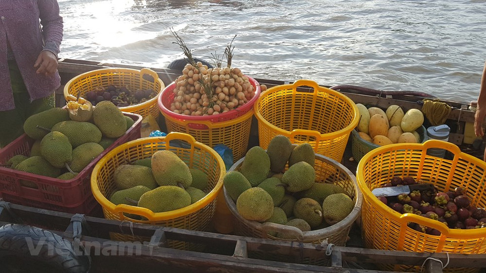 Para sorpresa de los turistas, los barcos son el único medio de transporte en el mercado flotante Cai Rang, el cual abre muy temprano hasta alrededor de las 9:00 horas todos los días y atrae a cerca de 300 a 500 barcos comerciales. De los cuales, alrededor de 150 son residenciales permanentes en el río y se venden principalmente productos agrícolas, artesanos y artículos de primera necesidad. Cada día, el destino interesante atrae a entre 500 y 700 turistas locales y extranjeros. El Comité Popular de la ciudad vietnamita de Can Tho aprobó un proyecto para preservar y desarrollar el mercado flotante Cai Rang con el objetivo de convertirlo en un destino turístico favorito en el Delta del Río Mekong. (Foto: Vietnam+)