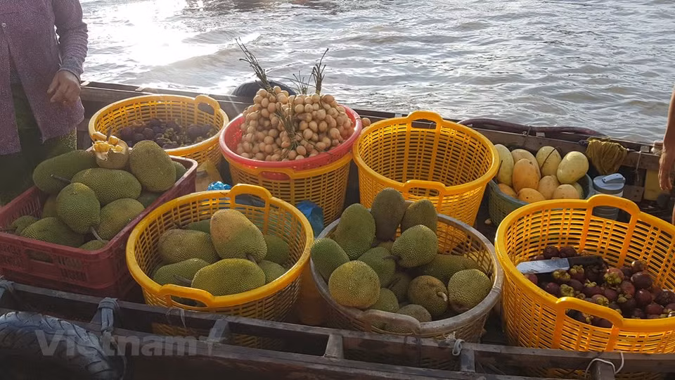 Para sorpresa de los turistas, los barcos son el único medio de transporte en el mercado flotante Cai Rang, el cual abre muy temprano hasta alrededor de las 9:00 horas todos los días y atrae a cerca de 300 a 500 barcos comerciales. De los cuales, alrededor de 150 son residenciales permanentes en el río y se venden principalmente productos agrícolas, artesanos y artículos de primera necesidad. Cada día, el destino interesante atrae a entre 500 y 700 turistas locales y extranjeros. El Comité Popular de la ciudad vietnamita de Can Tho aprobó un proyecto para preservar y desarrollar el mercado flotante Cai Rang con el objetivo de convertirlo en un destino turístico favorito en el Delta del Río Mekong. (Foto: Vietnam+)