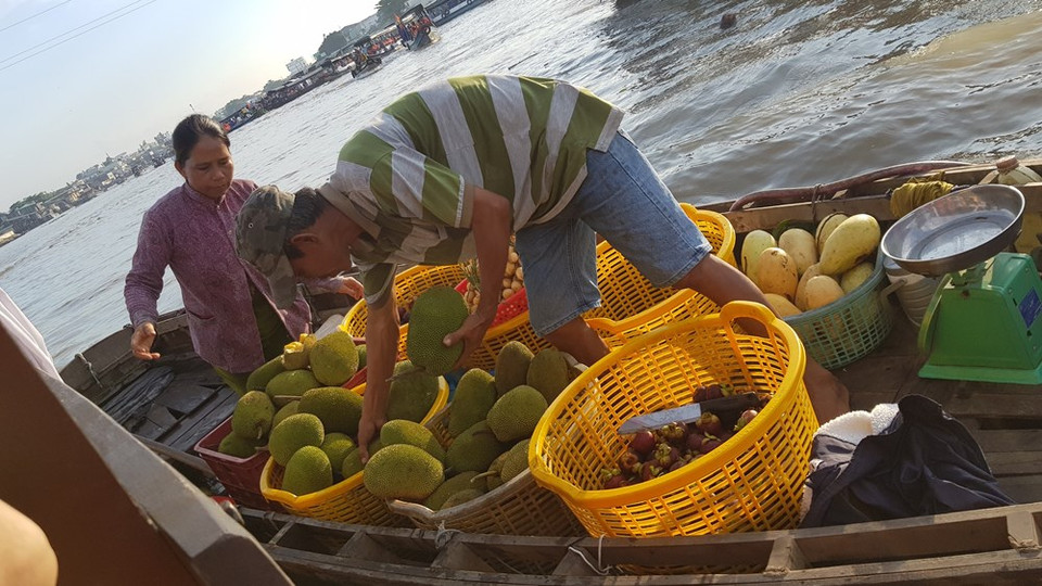 La revista turística británica Rough Guide eligió al mercado flotante de Cai Rang como uno de los 10 más peculiares del mundo. El Comité Popular municipal de Can Tho planea desplegar numerosas actividades para preservar y desarrollar este bazar, una atracción turística local. De esa manera, la ciudad implementará proyectos de turismo verde y el modelo de recolección de residuos en el río de Can Tho, además de fomentar la concientización social sobre la industria del ocio, capacitar al personal de ese sector y crear medios de vida para la población local a partir de actividades turísticas. Estas labores tienen como objetivo construir la imagen del mercado flotante de Cai Rang como un destino de turismo cultural y preservar los valores de los patrimonios intangibles locales. (Foto: Vietnam+)