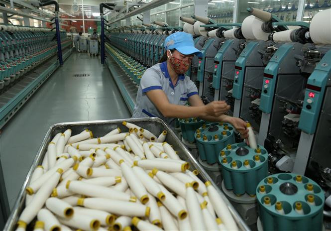 La planta se ubica en el parque industrial de Thuy Van (Fuente: VNA) 