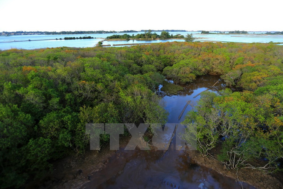 Foto de ilustración (Fuente:VNA)