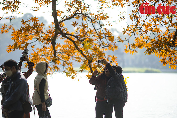 Los visitantes del lago Hoan Kiem toman fotografías como recuerdos del momento más romántico del año. (Foto: VNA)